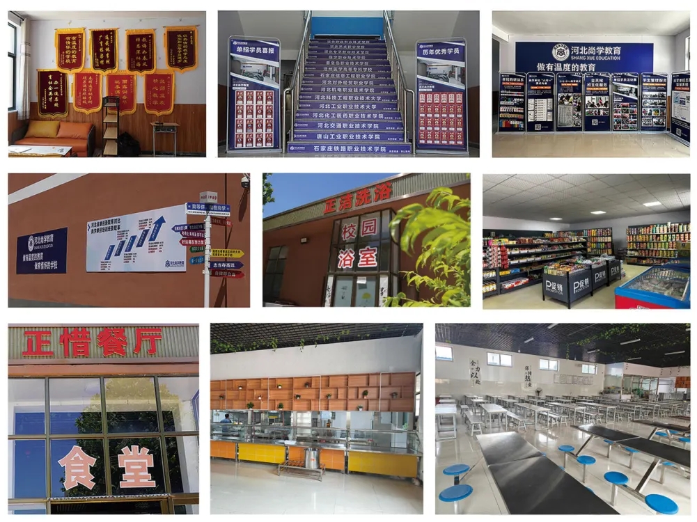 2026年河北单招升学招生简章!复读生可报名~