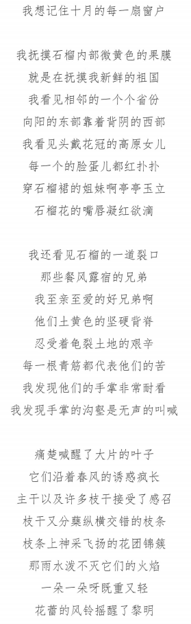 表(导)演类试题2